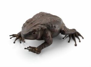  A highly detailed 3D rendering of a brown frog with a robust body and spread-out limbs, resting against a light-grey background.