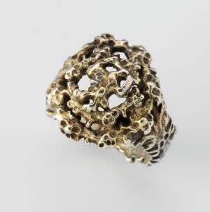  A detailed gold ring with a complex, porous design resembling natural coral, set against a neutral gray background. Artist name and title are unknown.