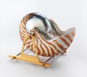  "Bæreinstrument for Nautilus Belavensis" by Sigurd Bronger, a breastplate design featuring a nautilus shell mounted in steel and gilded brass, displaying a white background with reddish-brown stripes and a pearly interior.