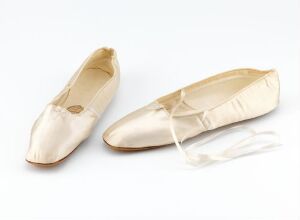  A pair of new, light beige ballet slippers with satin finish lie parallel on a white background, accentuating their unworn condition and simple elegance. Artistname and title are unknown.