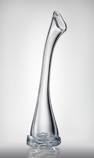  A tall, transparent glass vase with a curved, asymmetrical design against a gradient background transitioning from white to soft gray.