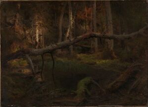  An oil on canvas painting by August Cappelen depicting a dark, dense forest scene with mature trees and a fallen trunk, showcasing a somber palette of browns, greens, and greys, evoking a sense of stillness and introspection.