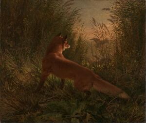  "A Fox" - an oil painting on canvas by Siegwald Dahl featuring a vivid red-orange fox standing alert amidst tall, dense earth-toned grasses or crops, with a soft glowing light suggesting either dawn or dusk in the background.