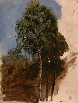  Oil painting on paper mounted on wood fiberboard by Adolph Tidemand, featuring a tall birch tree with a white-and-black trunk and lush green foliage set against a soft blue-to-white gradient sky, with an impressionistic depiction of an earthy ground.