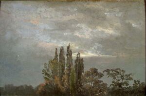  "Morning Mist over Poplars" by Johan Christian Dahl exhibits a misty, early morning landscape with tall, slender poplars at the center, surrounded by softer greenery under a dynamic gray and white cloudy sky with faint blue undertones. The painting's subdued earth tones and delicate interplay of light and mist evoke a quiet, introspective atmosphere.