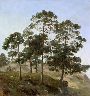  An oil painting on cardboard by Joachim Frich, featuring a group of pine trees on a hill with a soft blue-to-white gradated sky in the background, showcasing subtle play of light and shadow across the foliage and landscape.