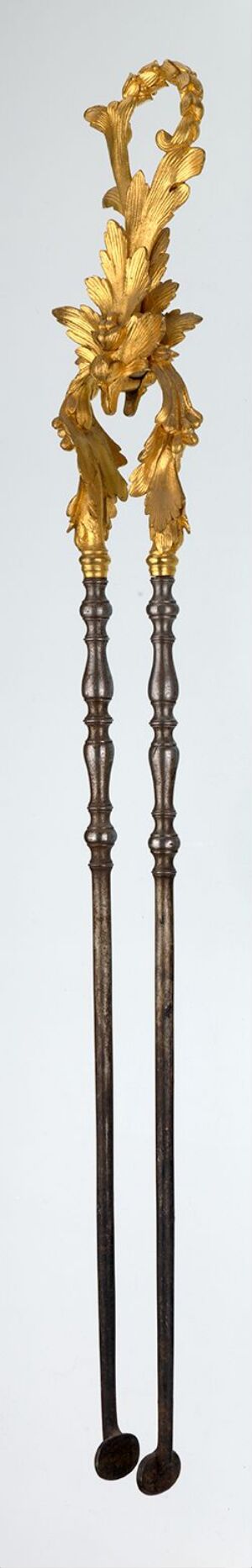  A pair of ornate, possibly ceremonial crutches with golden floral decorations at the top and a sleek, segmented shaft with dark bands, against a soft gradient background.
