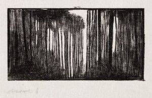  "I skogen" by Håkon Stenstadvold, a monochromatic wood engraving on paper featuring a dense and textured depiction of a forest with tall, slender trees in shades of black, white, and gray. The contrast of light and dark enhances the verticality and depth of the scene.