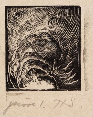  Woodcut print on paper titled "Vignett" by Håkon Stenstadvold featuring an abstract, swirling pattern in black on a light tan background, with the artist's handwritten inscription "probedr. H.S." below the image.