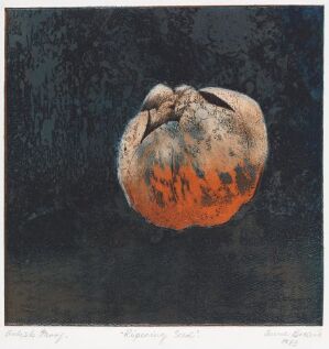  "Ripening Seed" by Anne Breivik is a fine art piece featuring a central image of a pomegranate set against a darkly textured background. The fruit, intricately depicted in shades of muted orange and red-orange, is slightly open at the top, suggesting its maturity and the concept of growth and potential.