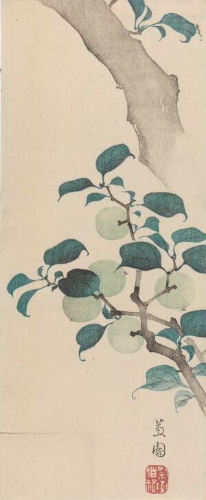  "Unripe Plums" by Keien is a delicate, tall, and narrow colored woodcut on paper featuring a diagonal branch of an unripe plum tree with green plums and leaves against a pale beige background.