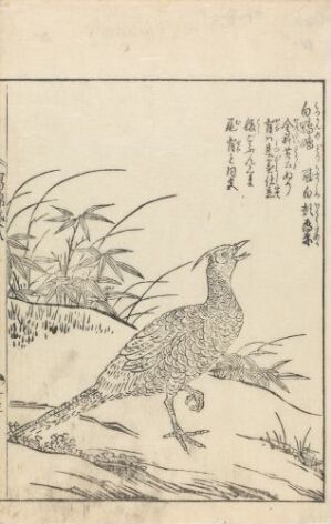  A traditional Japanese woodblock print by Tachibana Morikuni titled "Ehon shahôbukuro," featuring a finely detailed bird standing amidst implied foliage with bamboo or tall grasses behind it and Japanese text to the upper right, all rendered in black ink on off-white paper.