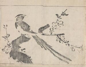  Monochromatic woodcut print by Tachibana Morikuni on aged paper featuring a detailed depiction of a long-tailed bird perched on a slender branch with small leaves or flowers, executed with fine lines and varying shades of gray ink.