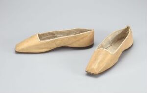  A pair of elegant women's ballet flats in a champagne gold color with a metallic finish, displayed on a light grey background, featuring pointed toes and a sleek design.