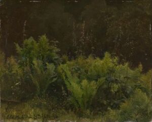  "Study of Ferns" by Hans Gude, an oil on paper mounted on cardboard painting, depicting a small cluster of bright green ferns set against a dark brown and olive green forest backdrop, capturing the contrast between the vibrant plants and the shadowy underbrush.