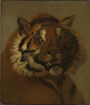  "Head of a Tiger" by Wilhelm Tischbein, an oil painting depicting the detailed and expressive head of a tiger against a muted brown background, highlighting its striking eyes, distinct fur patterns, and powerful demeanor.