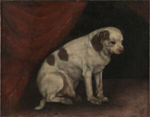 "Seated Dog" - An oil painting on canvas by an unknown artist, featuring a contemplative-looking white dog with brown patches sitting in front of a dark background and a suggestion of red drapery to the left.