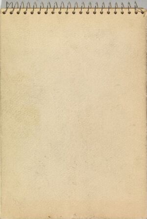  An image of a vertical sketchbook titled "Skissebok" with a worn beige cover and a spiral binding at the top, set against a plain background, conveying a feel of vintage or unused potential awaiting an artist's creation. Artist name: unknown. Title: Skissebok.