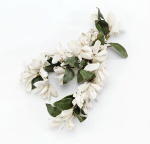 
 A heart-shaped floral arrangement made up of delicate white flowers with green leaves set against a soft white background.