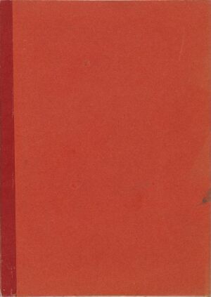  A red sketchbook titled "Skissebok" with a plain, textured cover, and a visible spine on the left side, indicative of its use as a medium for visual art, resting against a neutral background.