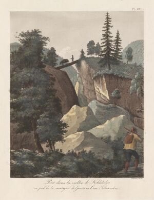  "Bro i Kolidalen, Øvre Telemark" by Wilhelm Maximilian Carpelan is a hand-colored aquatint on paper depicting a rustic wooden bridge over a gorge surrounded by rocky terrain, pine trees, and distant mountains under an overcast sky.