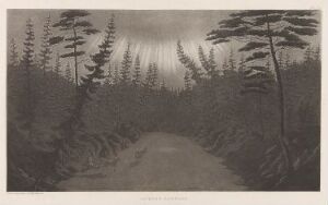  A monochromatic fine art print titled "Aurora borealis" by Anders Fredrik Skjöldebrand depicting the Northern Lights with bands of light radiating outward from a central point in the sky, framed by the dark silhouettes of tall trees along the sides and opening to a pathway or river in the center.