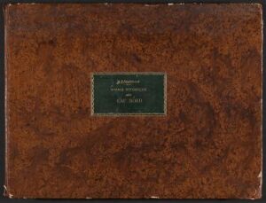  Leather-bound cover with marbled brown tones featuring a central green label with gold text that reads "Voyage pittoresque au Cap Nord".