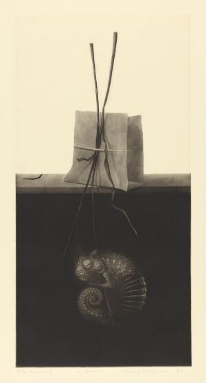  "Sleep" by Erling Valtyrson – A mezzotint print on paper with a sepia-toned gradient background and an abstract image of dark organic forms stretching out from the top, and a reflective circular form in a deep brown lower section, suggesting a nocturnal and dreamy atmosphere.