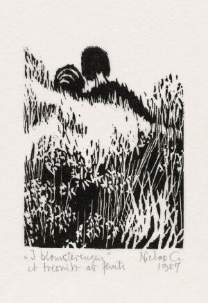  "I blomsterengen" by Niclas Gulbrandsen – a woodcut print depicting an abstract black shape amidst a dense pattern of black vertical lines resembling a wild meadow, creating a striking contrast with the surrounding white paper.