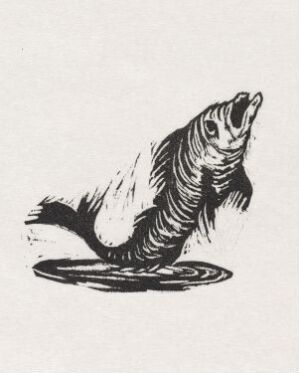  Monochromatic woodcut print titled "Fisk som hopper" by Niclas Gulbrandsen, depicting a fish energetically leaping out of the water, with detailed scales and fins against a plain background.