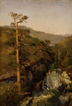  A romantic landscape painting by August Cappelen, featuring a tall tree in the center with earthy brown bark and green needles, surrounded by rocky terrain and sparse vegetation in the foreground, with a forested valley and blue-purple mountains in the background, all rendered in oil on canvas mounted on paperboard.