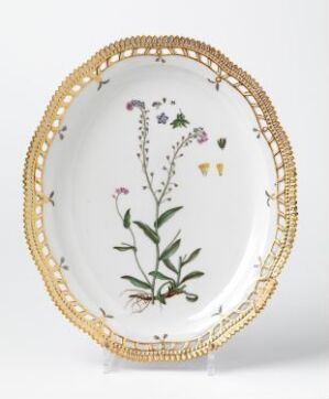  An oval porcelain plate with gold lace-like edging and a painted botanical illustration in the center, consisting of green foliage and delicate purple, pink, and yellow flowers, attributed to the artist Johann Christoph Bayer. The title of the artwork is unknown.