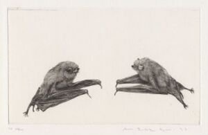  A black-and-white etching titled "Stor flaggermus II" by Arne Bendik Sjur, depicting two detailed and textured bats on paper, one in profile with extended wing, the other facing forward with wings spread, both clinging to branches, against a clean background.