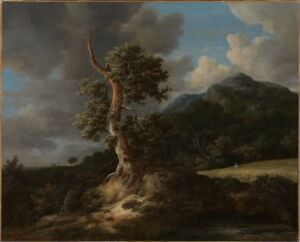  Oil painting on canvas by Jacob van Ruisdael depicting a natural landscape featuring a weathered, leafless tree in the foreground with sprawling roots, gently rolling hills with lush vegetation in the middle, a mountain in the distance, and a dynamic skye with fluffy white clouds.