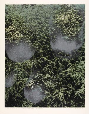  "Du og tårene dine, og graset" by Per Kleiva, a silkscreen print on paper showing a stylized green grassy background with abstract gray bubble-like shapes superimposed on the foliage.