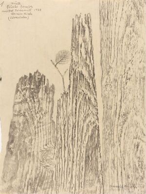  A black and white woodcut print titled "First attempt" by Harald Kihle, depicting two tall, textured vertical forms resembling tree trunks or posts, with a delicate, leafy plant growing between them. The image conveys a serene natural scene on paper, rendered in shades of beige and taupe, showcasing fine details of the subjects.