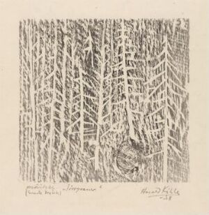  Fine art woodcut print on paper titled "Dry spruce trees" by Harald Kihle, showcasing a dense forest of spruce trees with highly detailed trunks and branches in a monochromatic scheme, and a handwritten inscription at the bottom.