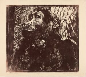  "The Monkey," a monochromatic woodcut print on paper by Solveig Kaurin, depicting the detailed and expressive close-up portrait of a monkey in shades of brown.