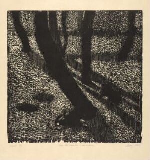  A monochromatic woodcut print by Marianne Boberg, titled "Does not anything grow by Moonlight?" depicting a moody scene of a woodland at night, characterized by deep shadows and textured lines to emulate moonlit trees and a forest floor.
