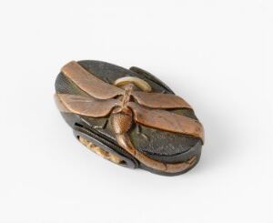  A traditional Japanese netsuke with a botanical or insect design, carved in rich earthy brown tones on a stark white background. The object is oval, with details suggesting folded elements and a central knot.