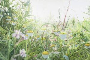  "Shuafat XIII" by Vibeke Slyngstad is an oil painting on canvas featuring a detailed and lush depiction of a meadow with various shades of green foliage and wildflowers with white, pink, and yellow petals, set against a soft, light background.