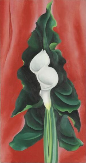  "Calla Lilies on Red" by Georgia O'Keeffe is an oil on canvas painting that features two vibrant white calla lilies with yellow spadices, set against a dramatic red background with dark green leaves providing a stark contrast.