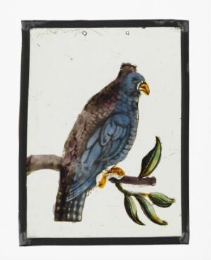  A detailed drawing or painting of a bird of prey perched on a branch, with hues of gray, brown, and subtle blues on its plumage, bright yellow legs and talons, and a greenish branch, set against a white background with indications of being encased in glass.