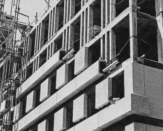 Montering av fasadeelementer på kontorbygg for Drammensveien 30 A/S