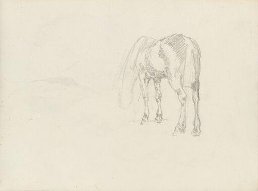 Hest