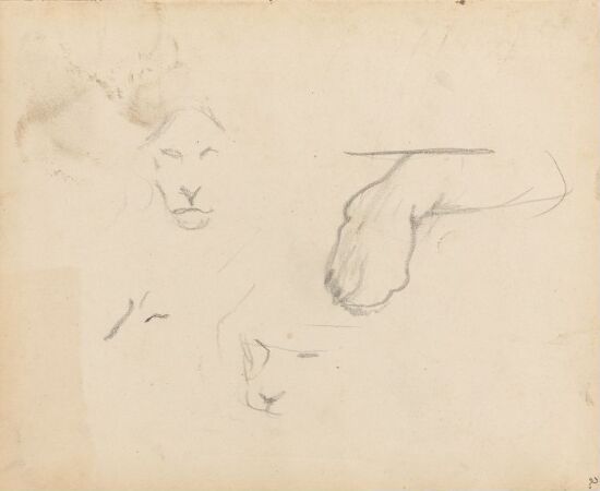 Arm; riss av dyrehoder