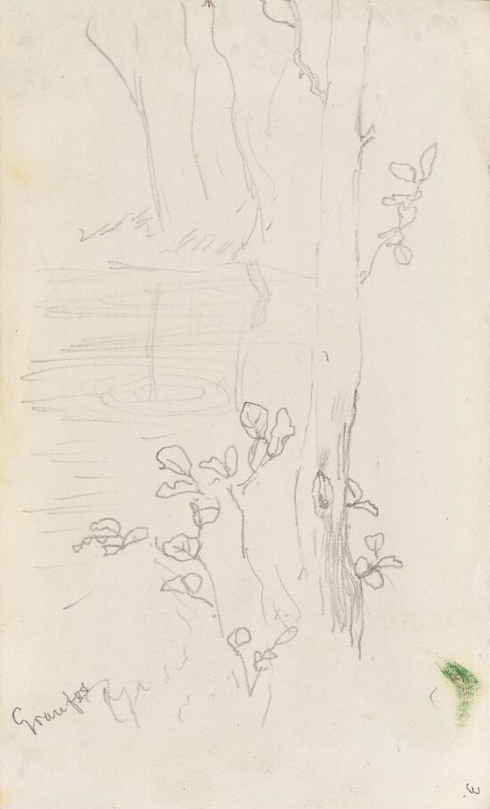 Trær ved elven, Granfoss