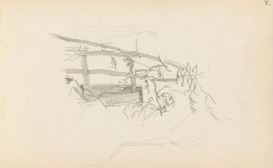 Småtrær ved gjerde