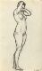 Standing Female Nude