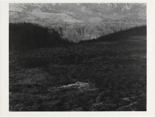 Skygge, Meløy, 1978